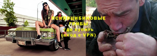ALPHA PVP Горнозаводск