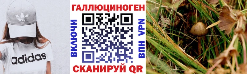 Псилоцибиновые грибы GOLDEN TEACHER  Закаменск 